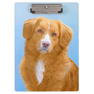 Nova Scotia Duck Tolling Retriever Dog Painting Clipboard