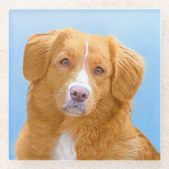 Nova Scotia Duck Tolling Retriever Dog Painting Glass Coaster (Front)