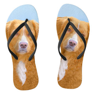 Nova Scotia Duck Tolling Retriever Dog Painting Thongs