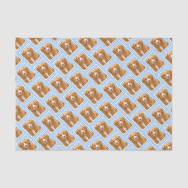 Nova Scotia Duck Tolling Retriever Dog Painting Tissue Paper (Front)