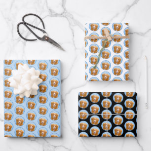 Nova Scotia Duck Tolling Retriever Dog Painting Wrapping Paper Sheet