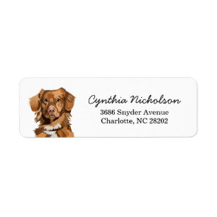Nova Scotia Duck Tolling Retriever Dog Return Address Label