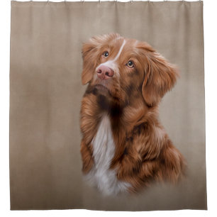 Nova Scotia Duck Tolling Retriever dog Shower Curtain