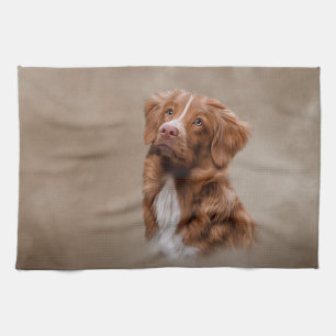 Nova Scotia Duck Tolling Retriever dog Tea Towel