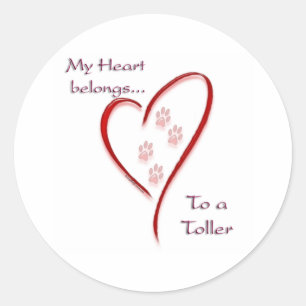 Nova Scotia Duck Tolling Retriever Heart Belongs Classic Round Sticker