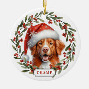 Nova Scotia Duck Tolling Retriever Ornament