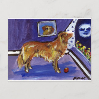 Nova Scotia Duck Tolling Retriever Postcard