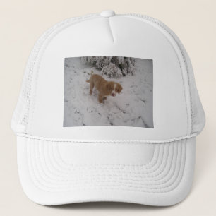 Nova_Scotia_Duck-Tolling_Retriever pup in snow Trucker Hat