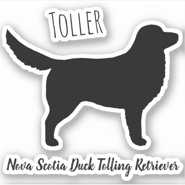 Nova Scotia Duck Tolling Retriever Silhouette (Front)