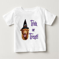 Nova Scotia Duck Tolling Retriever Trick