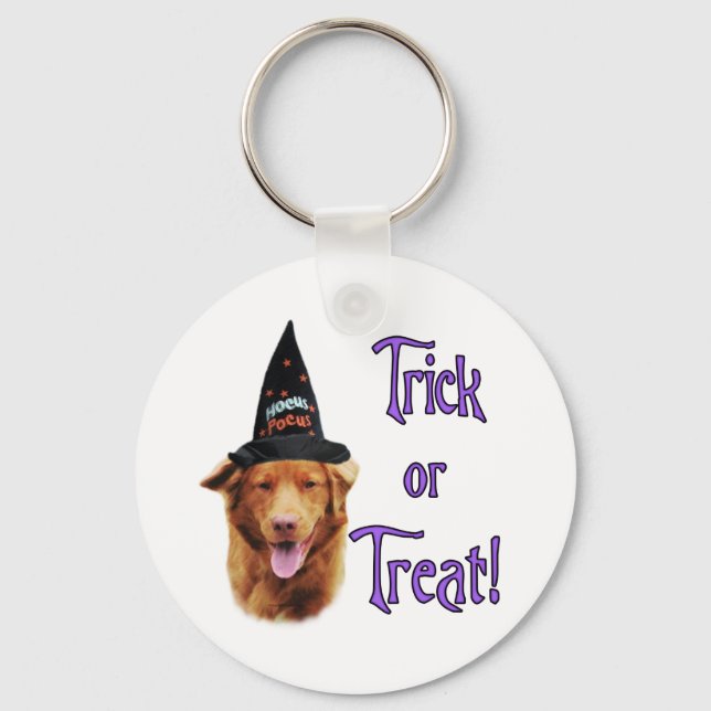 Nova Scotia Duck Tolling Retriever Trick Key Ring (Front)