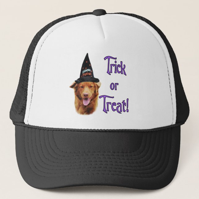 Nova Scotia Duck Tolling Retriever Trick Trucker Hat (Front)