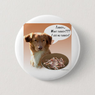 Nova Scotia Duck Tolling Retriever Turkey 6 Cm Round Badge