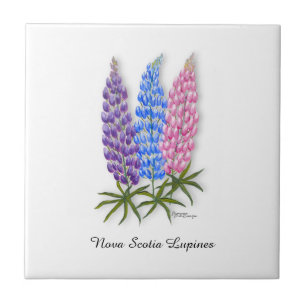 Nova Scotia Lupines Ceramic Tile