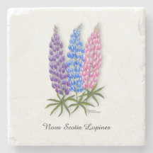 Nova Scotia Lupines