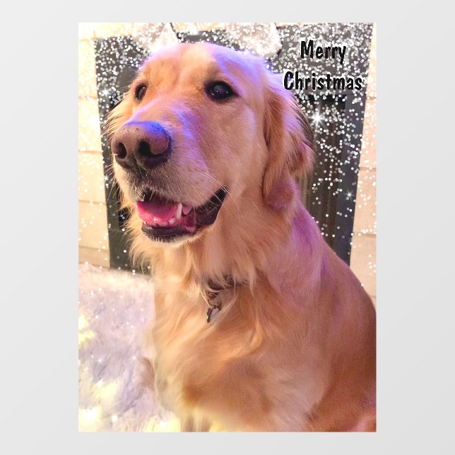 Nova The Golden Retriever Dog Christmas Snow  (Sheet)