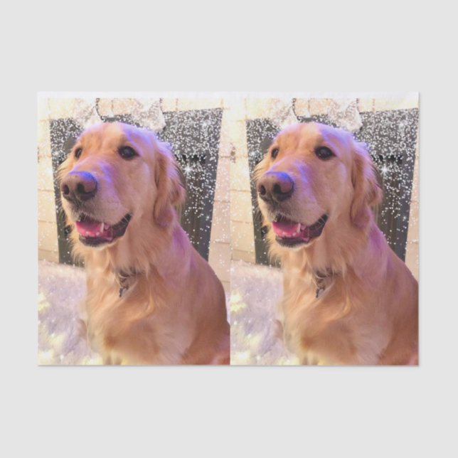 Nova the Golden Retriever Tissue Paper (Front)