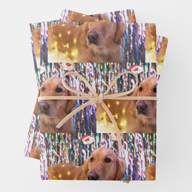 Nova the Golden Retriever - Wrapping Paper Sheets (In situ)