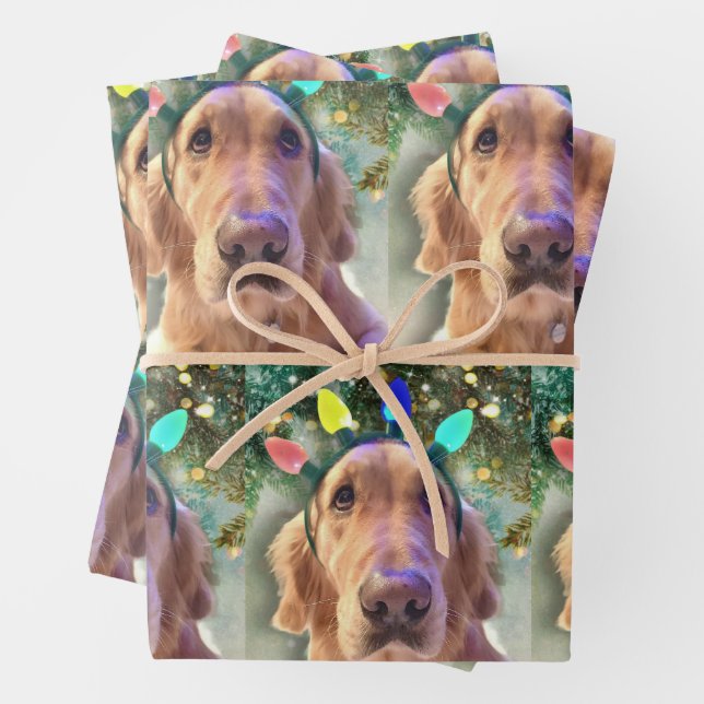 Nova the Golden Retriever - Wrapping Paper Sheets (In situ)