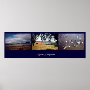 Novato, California Poster