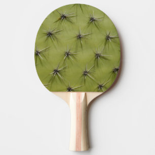 Novelty cactus ping pong paddle for table tennis