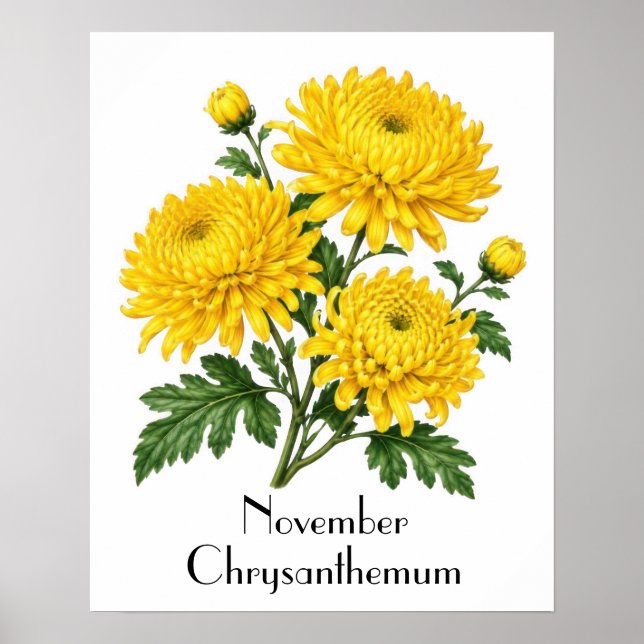 November Chrysanthemum Flowers Poster (Front)