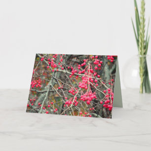 November Crabapples Greeting Card