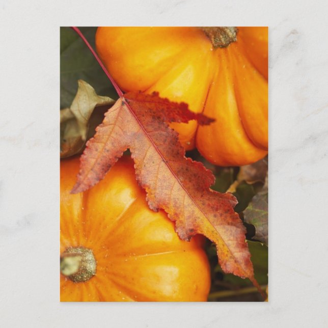 November Design Postcard (Front)