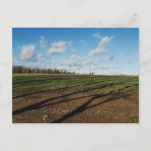 November Field III Postcard