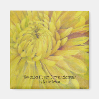November Flower: Chrysanthemum Magnet