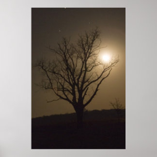 November Moon Poster