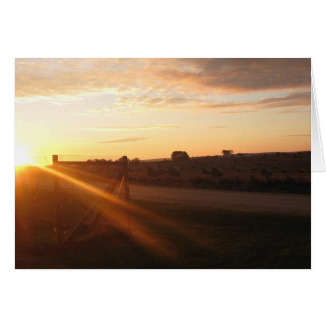 November Morning (Front Horizontal)