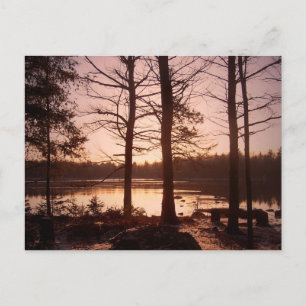 November Morning Postcard