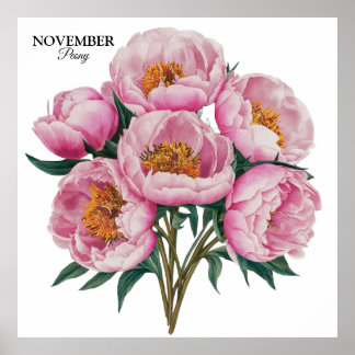 November Peony Bloom - Personalized Birthday Gift Poster