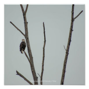 November Photo Print