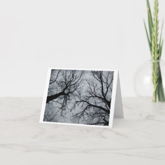 November Sky Through Trees Card
