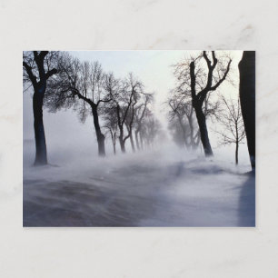 November storm postcard
