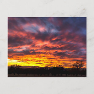 November Sunset Postcard