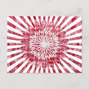 NOVINO SunFlower Energy Wheel Postcard