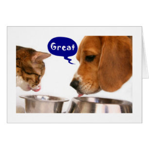 NOW THAT YOUR "16" WILL YOU DRIVE ME TO THE MALL