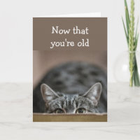 Now that You're Old Birthdays Sneak up Cat Pounce