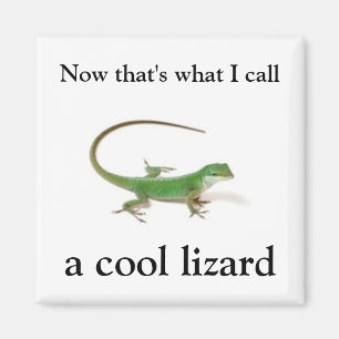 Now that's what I call a cool lizard Magnet