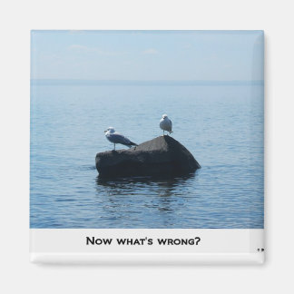 NOW WHAT'S WRONG ? MAGNET