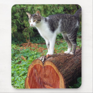 Now You Have My Attention - Kitty Mousepad