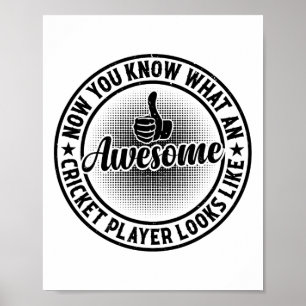 Now You Know What An Awesome Cricket Player Looks  Poster