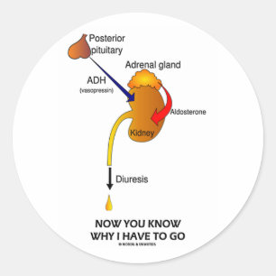 Now You Know Why I Have To Go (Diuresis) Classic Round Sticker