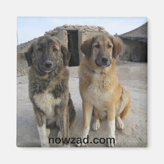 Nowzad Dogs Magnet (Front)