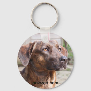 Nowzad Rescue Dog Brin Keyring