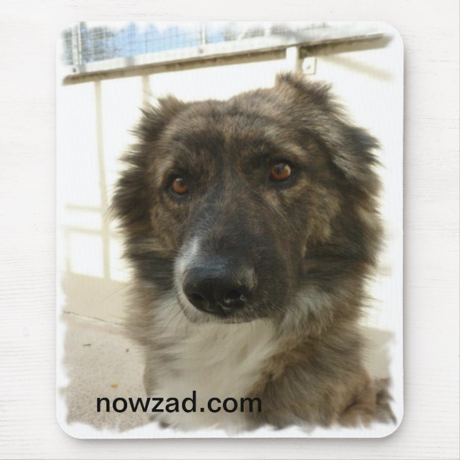 Nowzad Rescue Wylie Mousepad (Front)