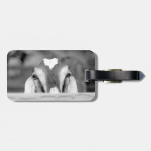 Nubian doe bw peeking over wooden rail.jpg luggage tag